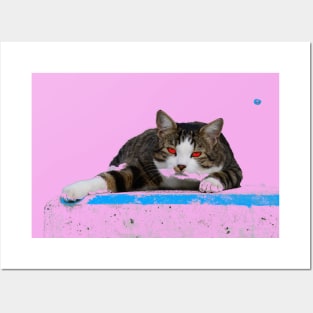 Hangover cat / Swiss Artwork Photography Posters and Art